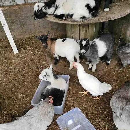 Летний дом Happy Land *