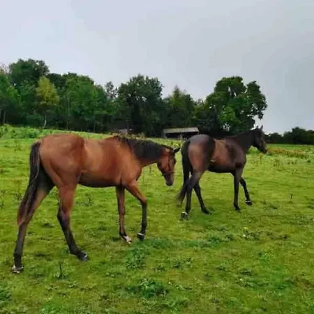 Летний дом Happy Land