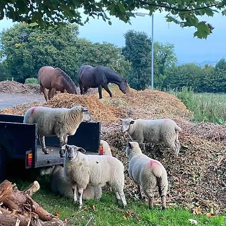 Happy Land Летний дом Ситиуэст