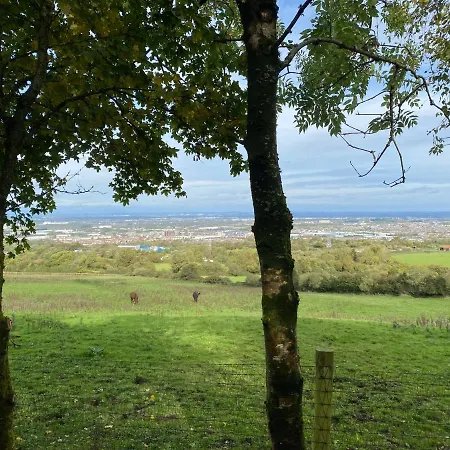 Летний дом Happy Land Ситиуэст